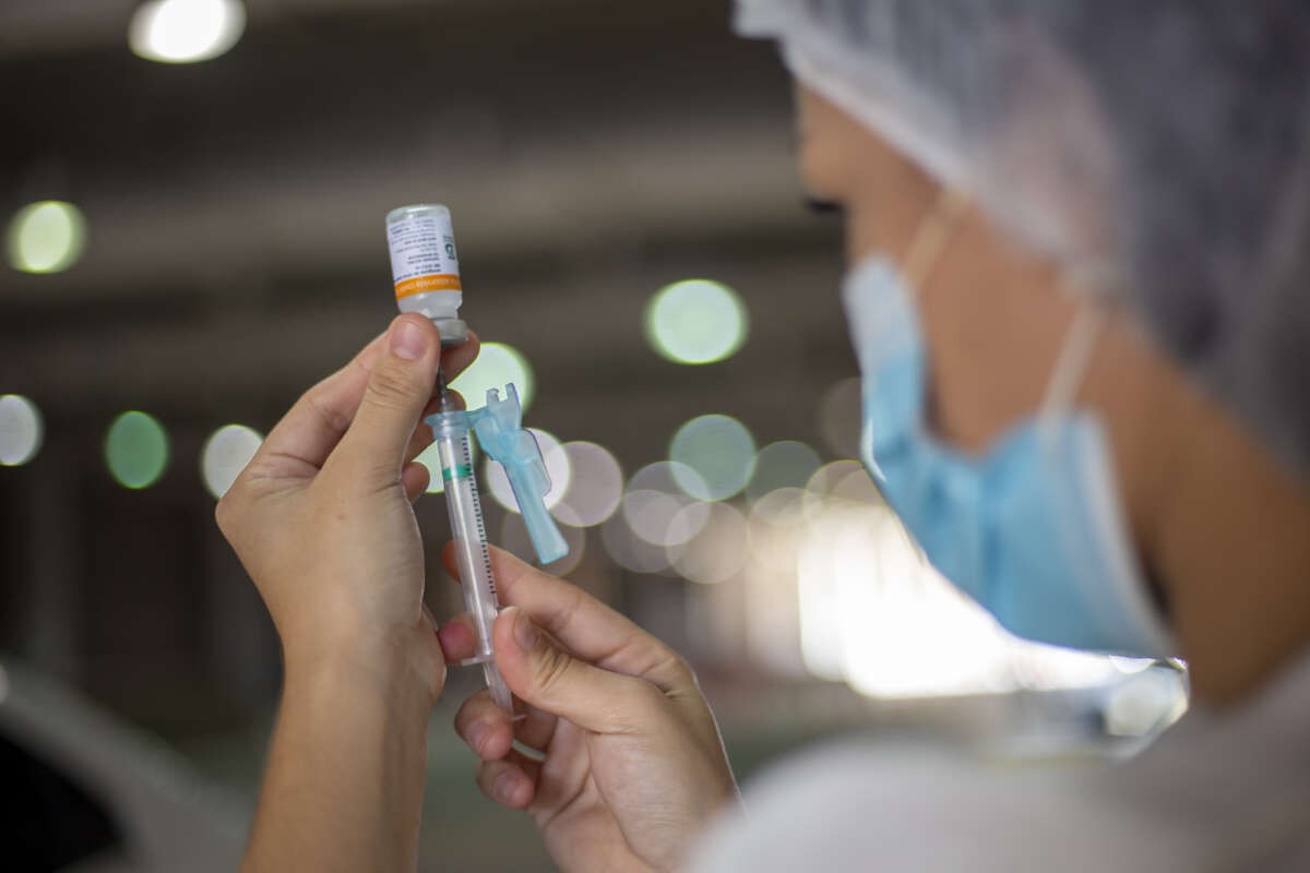 Vacina contra chikungunya Instituto Butantan